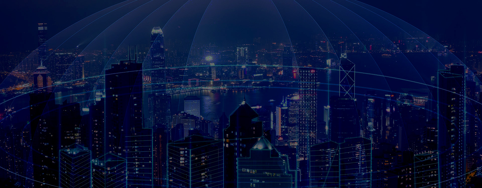 敏捷网络解决方案