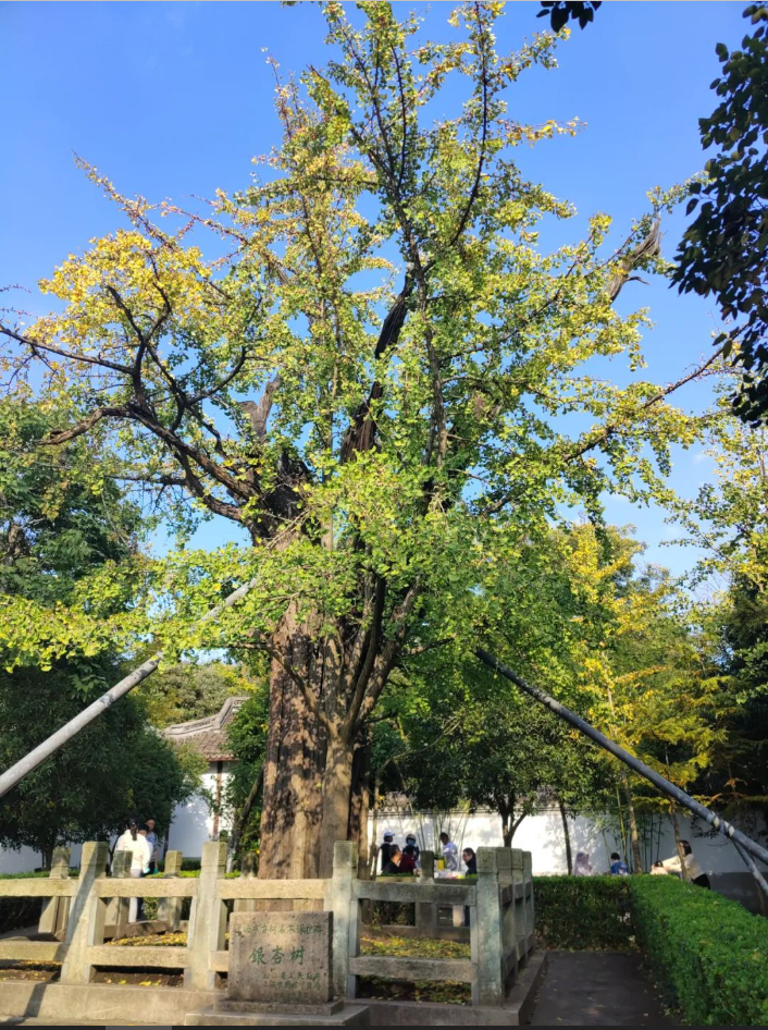 64d4aa1adb068.png image.png