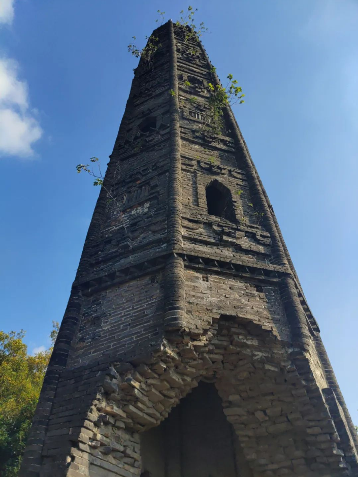 64d4aa3b86665.png image.png