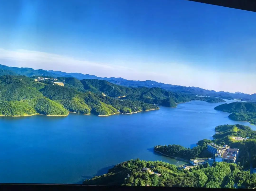 64d4afc177bed.png image.png