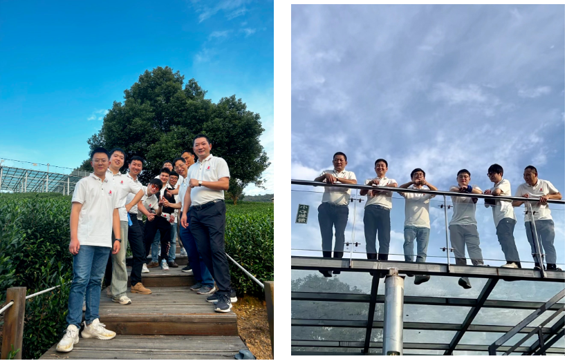 6639e41030a7b.png image.png