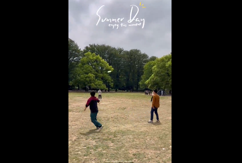 6639e6cef0bdb.png image.png