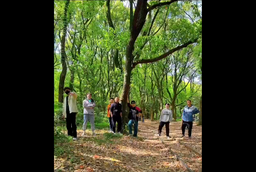 6639e7136cadd.png image.png